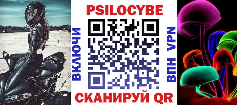 закладки  Кинешма  Псилоцибиновые грибы Cubensis 
